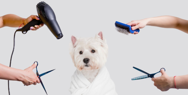 Pet Grooming Products