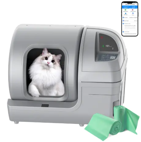 Cat Litter Box Automatic Cleaning