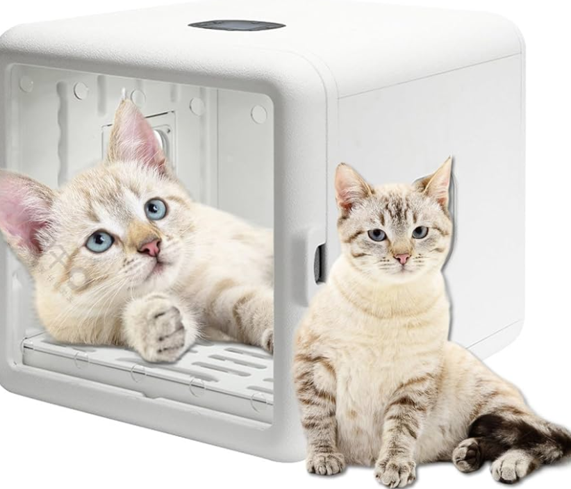 How Do You Make Your Pet Comfortable with a Pet Dryer