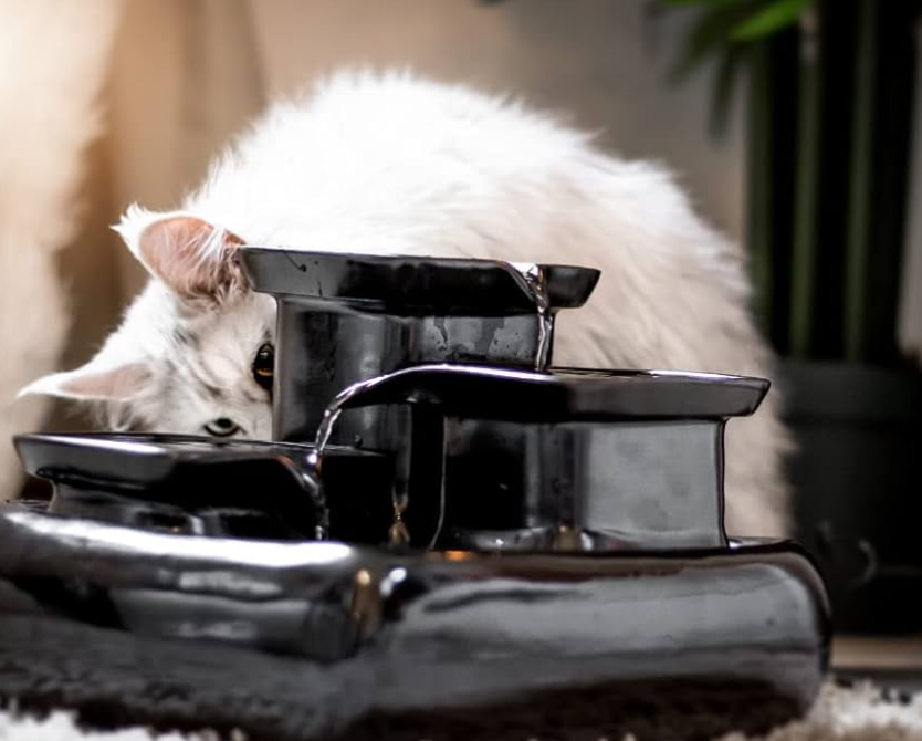 Intelligent Pet Water Dispenser