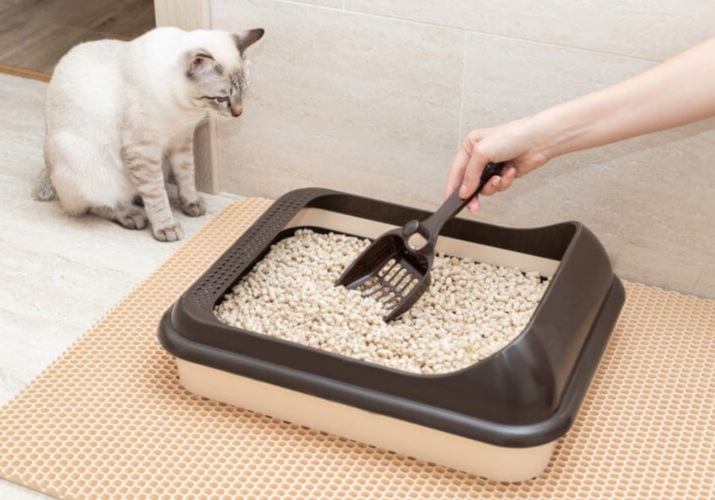 Cat Litter Box Automatic Cleaning