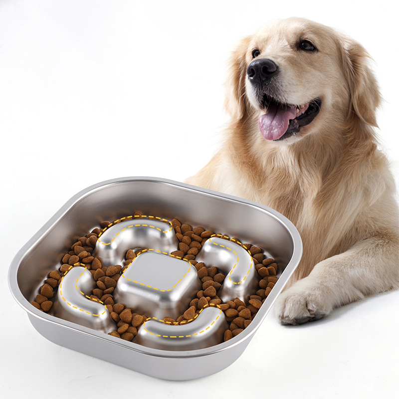 Slow Eating Pet Bowl