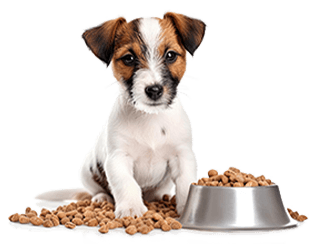 Zhejiang Beijing Technology Co., Ltd.